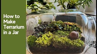 How to Make Closed Terrarium in a Glass Jar  Mini ecosystem [upl. by Ociram]