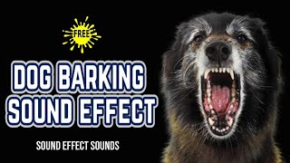 DOG BARKING  Dog Sound Effect [upl. by Adyht]