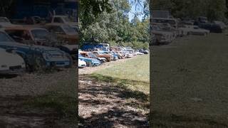 BARN FINDS  Junkyard Full of Old PontiacsFord CamarosMustangsCadillacs and More automobile [upl. by Okoyik]