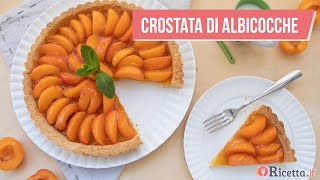 CROSTATA DI ALBICOCCHE fresche  Ricettait [upl. by Cerys810]