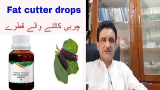 Benefits of phytolacca berry schwabe germany by Dr Asad Naqvi [upl. by Aileen]