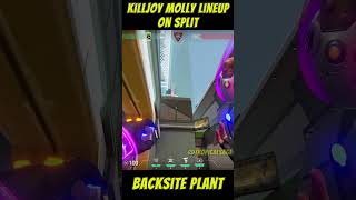 Killjoy Molly Lineup on Split  Backsite Plant killjoy 발로란트 valorantlineups [upl. by Aiotal829]