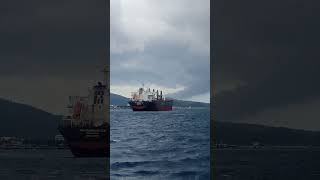 Bulk carrier vessel filipinoseafarer smallyoutuber [upl. by Waldemar567]