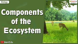 Components of the Ecosystem  Science videos  iKen  iKen Edu  iKen App [upl. by Nylanna]