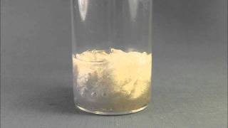 Degradation of Cellulose by Catalyzed Hydrogen Peroxide H2O2 [upl. by Nerro]