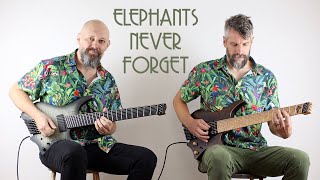 Haken Elephants Never Forget Guitar playthrough [upl. by Anauqahs]