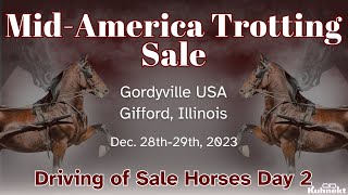 Driving of Sale Horses Day 2  2023 Mid America Trotting Sale [upl. by Airla]