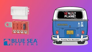 Blue Sea Systems Battery Terminal Mount Fuse Block  12 Volt Planet [upl. by Vescuso]