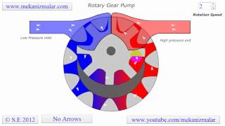 Rotary Gear Pump [upl. by Releyks]