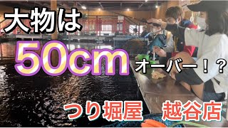 【釣り堀屋越谷店】埼玉県最大の釣り堀にいってみた！！ [upl. by Hooge]