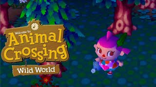 Animal Crossing Wild World  Where Are The Cherry Blossoms 🌸 [upl. by Burnie]