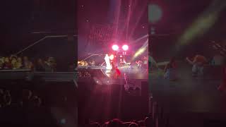 Pnk What About Us live Sydney 2018 Beautiful Trauma World Tour pink whataboutus [upl. by Chaunce165]