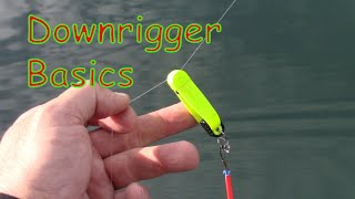 Downrigger 101 Entry Level Introduction To Downrigger Fishing [upl. by Arri]