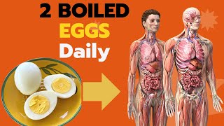 What Happens to Your Body When You Eat 2 Boiled Eggs Every Day [upl. by Eojyllib25]