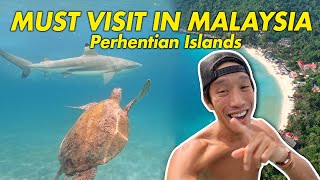 Why You MUST VISIT The Perhentian Islands MALAYSIA REOPEN [upl. by Demb344]