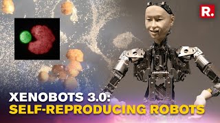 Scientists Create Worlds Firstever Living Robots Xenobot 30 That Can Selfreplicate [upl. by Hunter]