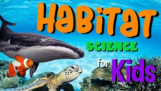 Habitat  Science for Kids [upl. by Nyrraf]