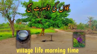 gaon key beautiful morning or daily routine lifevillage life morning timeRaza Aalam vlogs [upl. by Ainex]