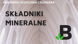 składniki MINERALNE  ANATOMIA i FIZJOLOGIA człowieka  KOREPETYCJE z BIOLOGII  259 [upl. by Lavud846]