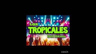 LOS TROPICALES DEL RITMO TRAGUITOS CORTOS [upl. by Siddon]