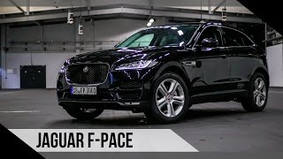 Jaguar FPace  2016  Test  Review  Fahrbericht  MotorWoche [upl. by Eanal]