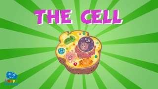 The Cell  Educational Video for Kids [upl. by Eloisa445]