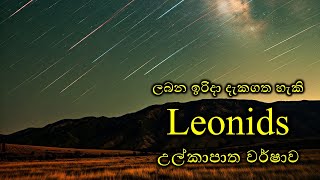 Leonids meteor shower leonid [upl. by Diogenes977]