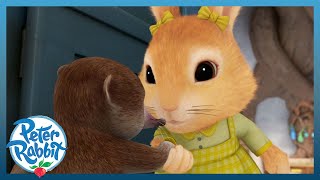 ​OfficialPeterRabbit 💜🐰💜 The Tale of Cottontail and the Shrew 💜🐰💜 Valentines  Cartoons for Kids [upl. by Rrats]