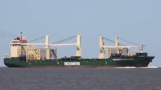 RICKMERS SINGAPORE  Elbe höhe Otterndorf [upl. by Teilo]