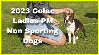 2023 Colac Ladies Show PM  Non Sporting Dogs [upl. by Yrellih]