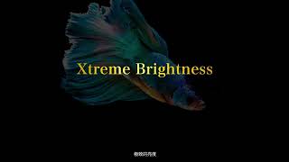 AQUOS XLED 技術：Xtreme Brightness 突破黑與光的極限 [upl. by Ingalls]