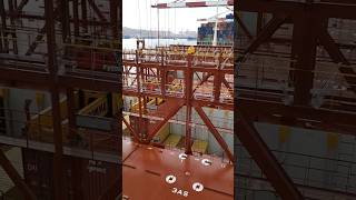 Kitne container se busines start kre  🚢💰🤔😮mscship shippingshorts business ytshorts reels [upl. by Crow]