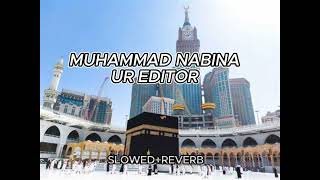 NAAT MUHAMMAD NABINA SLOWED AND REVERB [upl. by Dar]