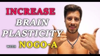 Increase Brain Plasticity By Inhibiting NogoA [upl. by Goldwin]