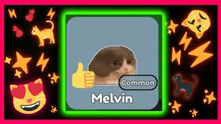 Guide How To Get Melvin On Roblox Find The Cats By FindGames Academy [upl. by Hoj]