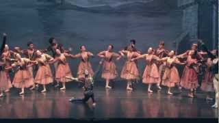 HSW Gdynia  Moscow City Ballet Jezioro Łabędzie [upl. by Tymon]