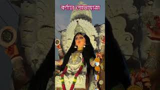 Chandannagar Jagadhatri puja carnival jagadhatripuja procession chandannagarlighting ytshorts [upl. by Esinal]