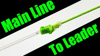 How to Tie a Leader to a Main Line  For Beginners [upl. by Yonah]