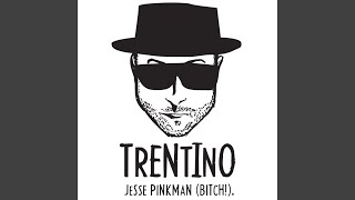 Jesse Pinkman Bitch [upl. by Beverley]