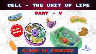 Cell  The Unit Of Life  PART  V class 11 Biology  NCERT  COHSEM  CBSE [upl. by Fini]