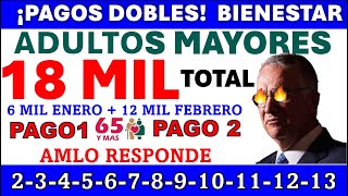 🔔ENERO 6 MIL 💥FEBRERO 12 MIL💥🤑𝐋𝐈𝐒𝐓𝐎 𝐃𝐄𝐏𝐎́𝐒𝐈𝐓𝐎S 𝐏𝐄𝐍𝐒𝐈𝐎𝐍 𝐁𝐈𝐄𝐍𝐄𝐒𝐓𝐀𝐑❗𝙋𝘼𝙂𝙊 𝘼𝘿𝙐𝙇𝙏𝙊𝙎 𝙈𝘼𝙔𝙊𝙍𝙀𝙎 BIENESTAR 65 [upl. by Thier]