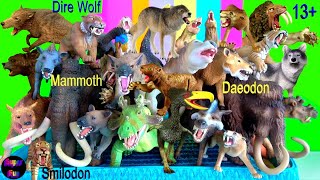 NEW Dire Wolf Wolf Wolves Mammoth Smilodon Prehistoric Mammals Megafauna 13 [upl. by Leugimsiul]