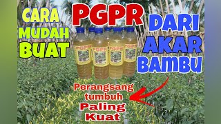 Cara Mudah Membuat PGPR Plant Growth Promoting Rizobacteria dari Akar Bambu [upl. by Aihsas]