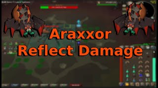 OSRS  Reflecting Damage to Araxxor  Araxxor Speed Run Meta [upl. by Anawad]