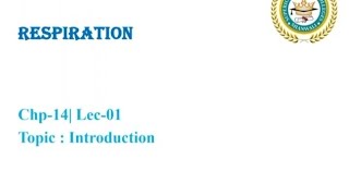 Respiration  Cellular Respiration vs Breathing  Human Respiratory System [upl. by Eerbua]