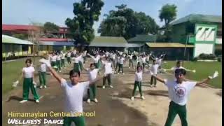 Himamaylan Central School  Wellness Dance [upl. by Slaohcin368]