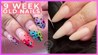 How To 9 Week Old Nails  Soak Off and Infill on Andrea [upl. by Nylg]