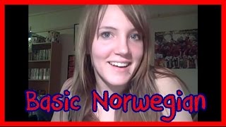 Norway  The Basic Language [upl. by Llenej]