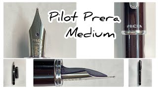 Revisit Series  Four year old Pilot Prera  Medium [upl. by Falkner]