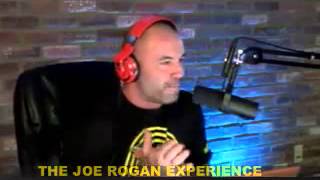 Joe Rogan on Sean Penn and Pretentiousness [upl. by Lleral443]